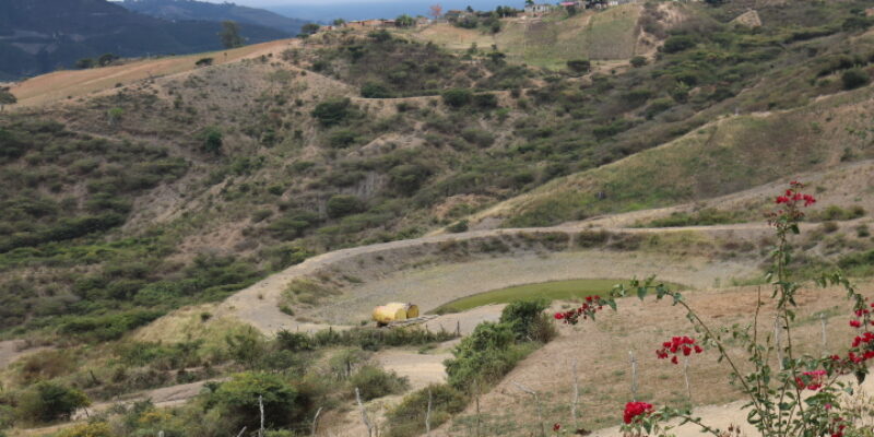 Acción Cosecha. Senti-pensamientos y sueños sobre la comunidad, los cuerpos y territorios