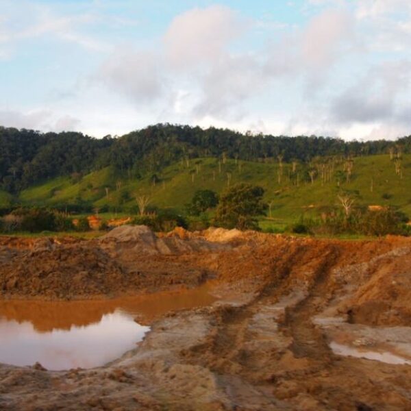 Arco Minero: Extractivismo y explotación sexual de niñas al sur del estado Bolívar