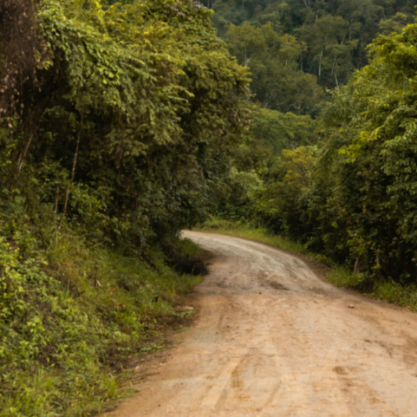 Trata de personas y extractivismo: flujo ilegal de cuerpos y naturaleza